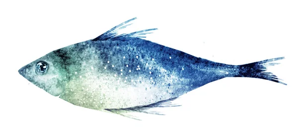 Peixe Aquarela Branco — Fotografia de Stock