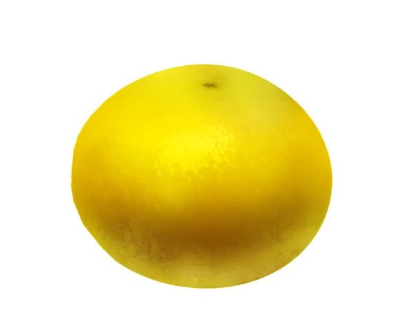 Watercolor Citrus Fruit White — Stock Photo, Image