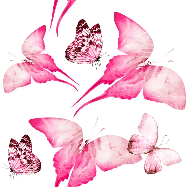 나비들의 — 스톡 사진