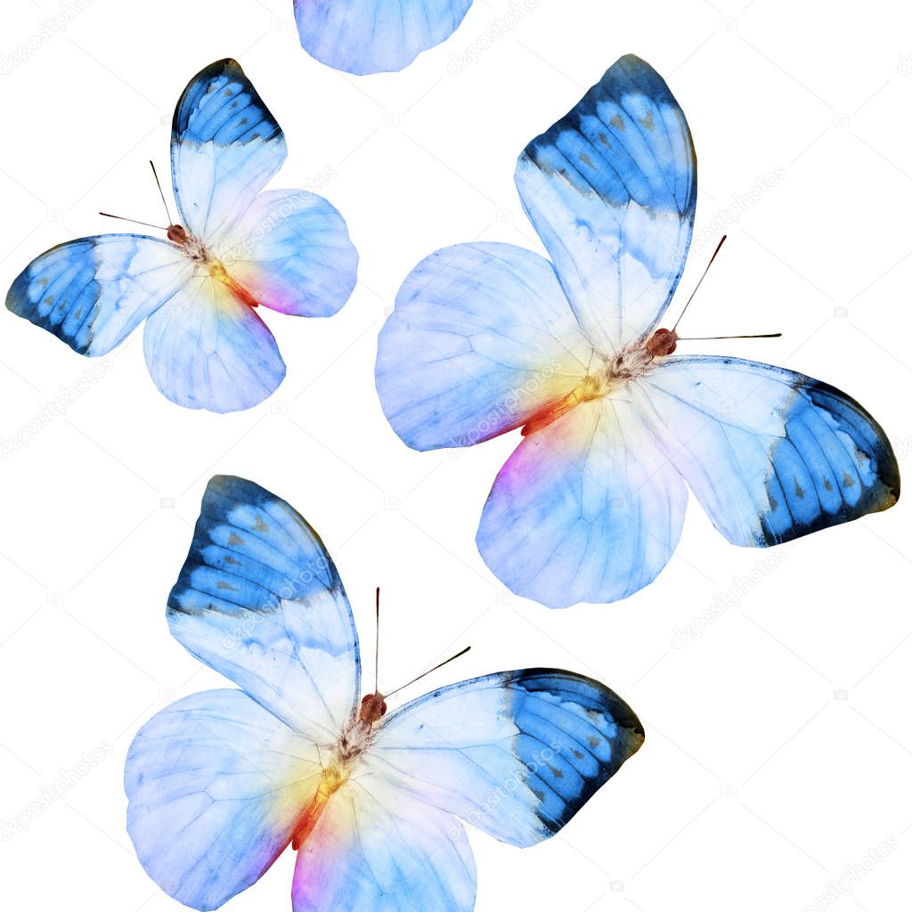 Watercolor seamless background with butterflies