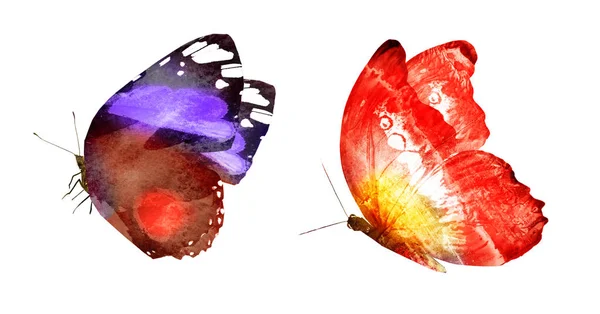 Zwei Aquarell Schmetterlinge Isoliert Auf Weißem Hintergrund — Stockfoto