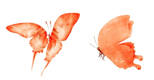 Två Akvarell Fjärilar Isolerade Vit Bakgrund — Stockfoto