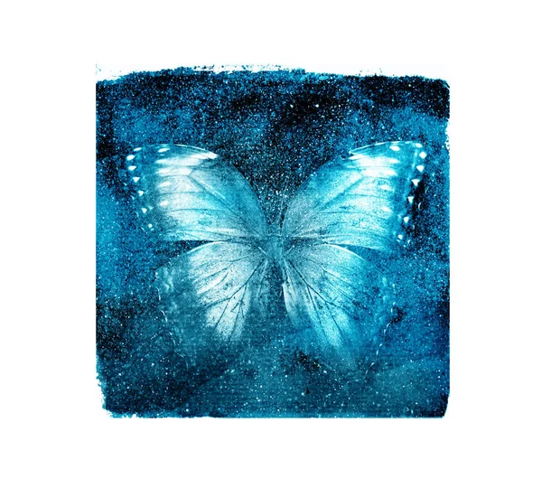 Praça Cosmos Aquarela Com Borboleta Branco Como Fundo — Fotografia de Stock