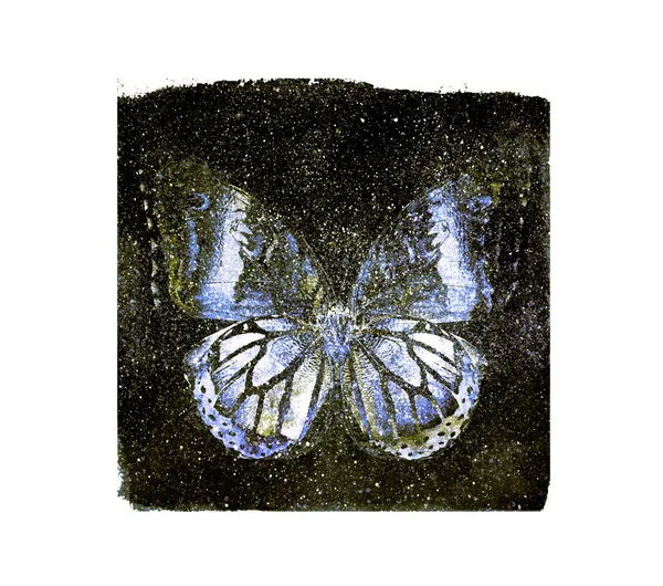 Praça Cosmos Aquarela Com Borboleta Branco Como Fundo — Fotografia de Stock