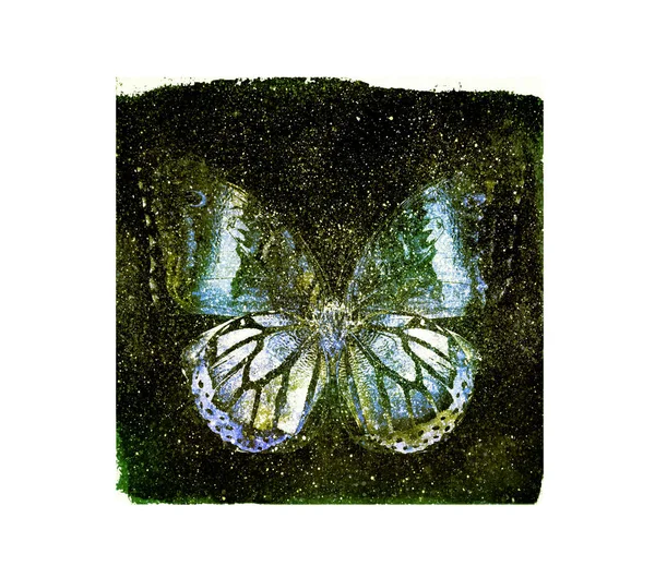 Praça Cosmos Aquarela Com Borboleta Branco Como Fundo — Fotografia de Stock