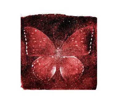 Arka planda beyaz kelebek olan suluboya kozmos karesi