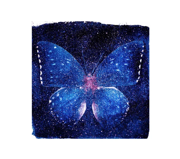 Praça Cosmos Aquarela Com Borboleta Branco Como Fundo — Fotografia de Stock