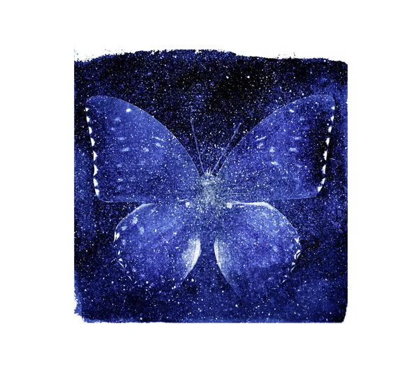 Aquarelle Cosmos Carré Avec Papillon Sur Fond Blanc — Photo