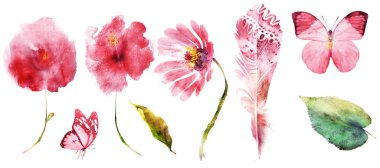 Suluboya beyaz üzerine doğal set