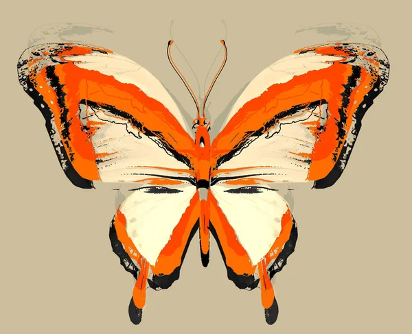 Abstraktní Motýl Izolovaný Pozadí — Stock fotografie