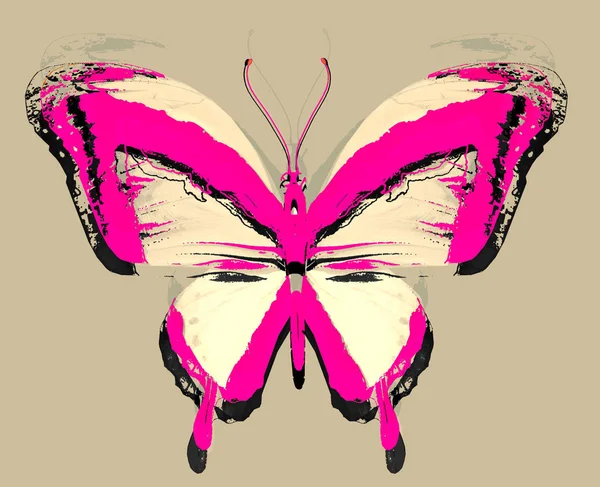 Papillon Abstrait Isolé Sur Fond — Photo