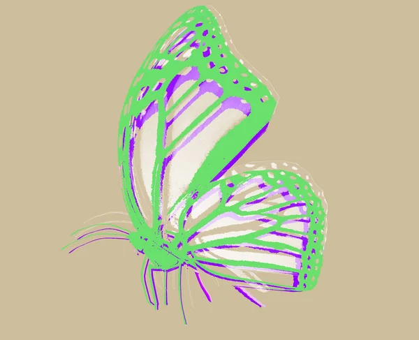 Абстрактная Бабочка Изолированная Заднем Плане — стоковое фото