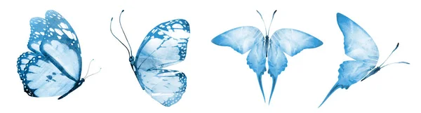 Fyra Akvarell Fjärilar Isolerade Vit Bakgrund — Stockfoto