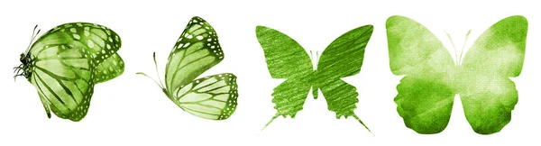 Čtyři Akvarel Motýli Izolované Bílém Pozadí — Stock fotografie