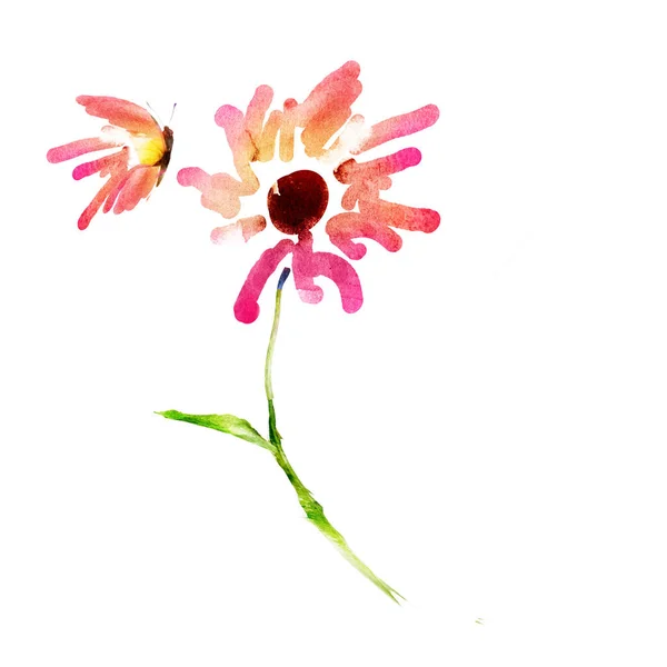 Aquarell Skizze Von Schmetterling Und Blume — Stockfoto