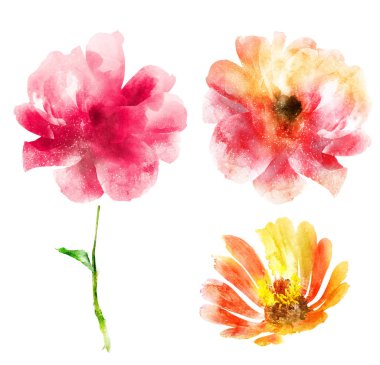 Beyaz arka plan üzerinde izole suluboya çiçek