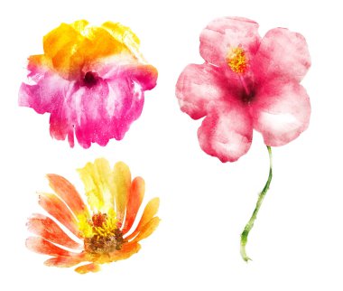 Beyaz arka plan üzerinde izole suluboya çiçek