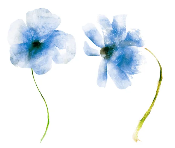 Flores Aquarela Isoladas Sobre Fundo Branco — Fotografia de Stock