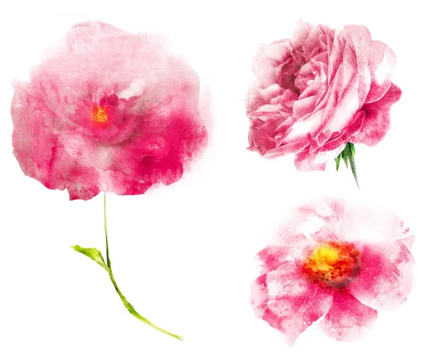 Aquarel Bloemen Geïsoleerd Witte Achtergrond — Stockfoto