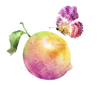 Suluboya limon, kireç ve kelebek.