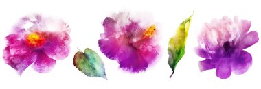 Suluboya beyaz üzerine doğal set