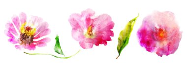 Suluboya beyaz üzerine doğal set