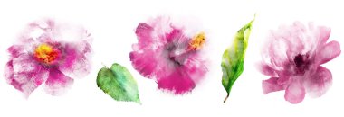 Suluboya beyaz üzerine doğal set