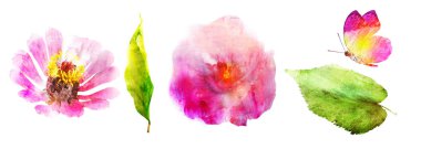 Suluboya beyaz üzerine doğal set