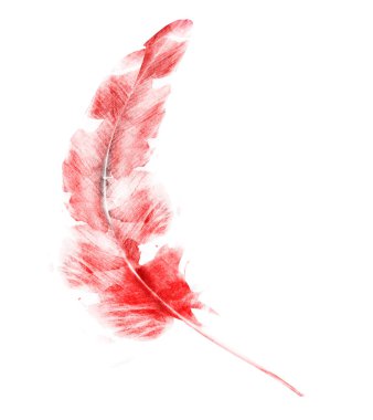 beyaz üzerine suluboya tüy