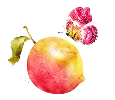 Suluboya limon, kireç ve kelebek.