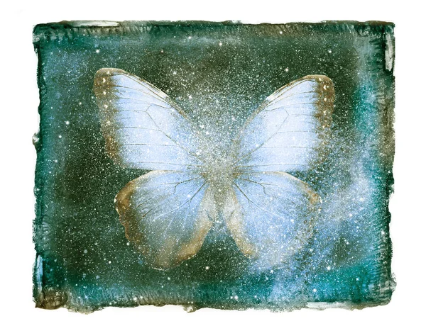 Papillon du ciel Stock Photos, Royalty Free Papillon du ciel Images ...