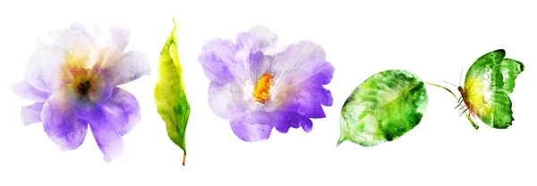 Aquarel Bloemen Met Bladeren Reeks — Stockfoto