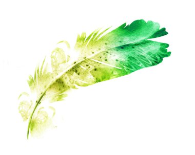 beyaz üzerine suluboya tüy