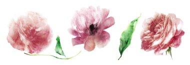 Yapraklı suluboya çiçekler