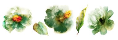 Suluboya beyaz üzerine doğal set