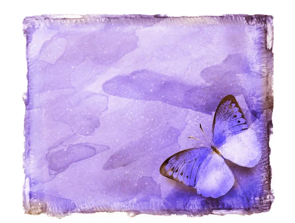 Бабочка Фоне Неба Акварель — стоковое фото