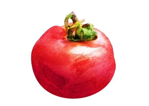 Dessin Tomate Sur Fond Blanc — Photo