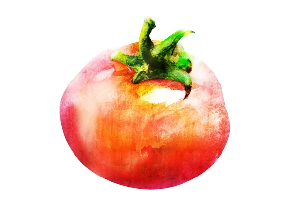 tomato drawing on white background