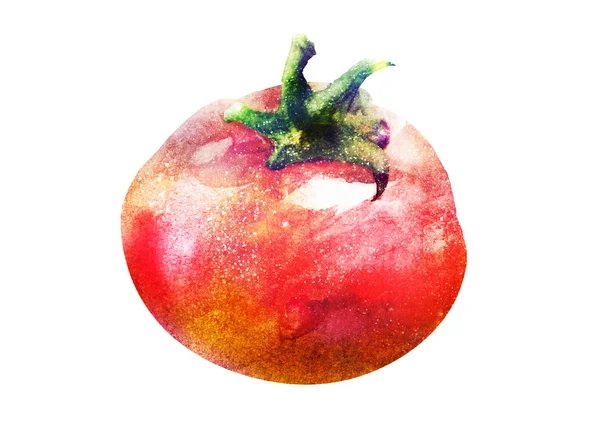 Tomato Drawing White Background — Stock Photo, Image