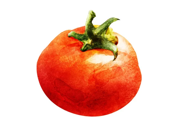Tomato Drawing White Background — Stock Photo, Image
