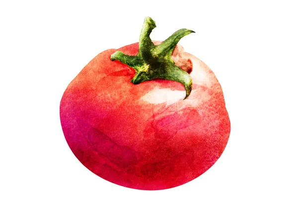 Rysunek Pomidora Białym Tle — Zdjęcie stockowe
