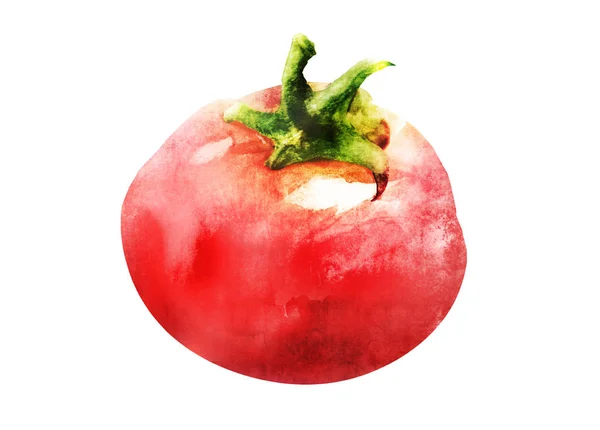 Rysunek Pomidora Białym Tle — Zdjęcie stockowe