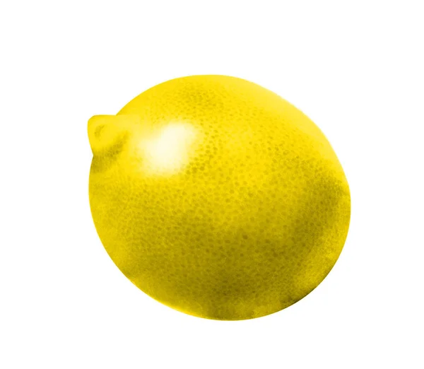 Akvarell Lemon Vit Bakgrund — Stockfoto