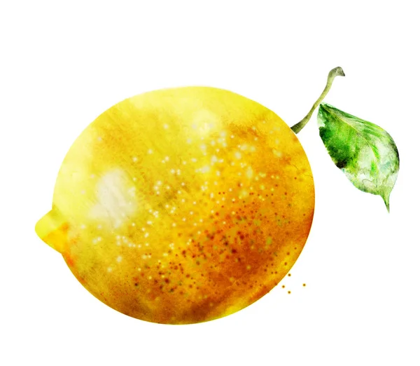 Acquerello Limone Sfondo Bianco — Foto Stock