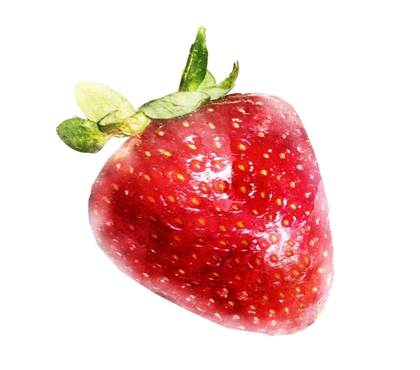 화이트에 딸기 수채화 — 스톡 사진