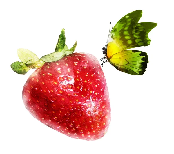 Aquarelle fraise sur blanc — Photo