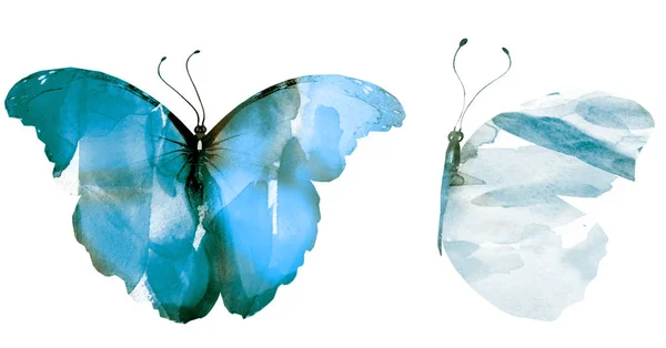 Dos Mariposas Acuarela Aisladas Sobre Fondo Blanco —  Fotos de Stock
