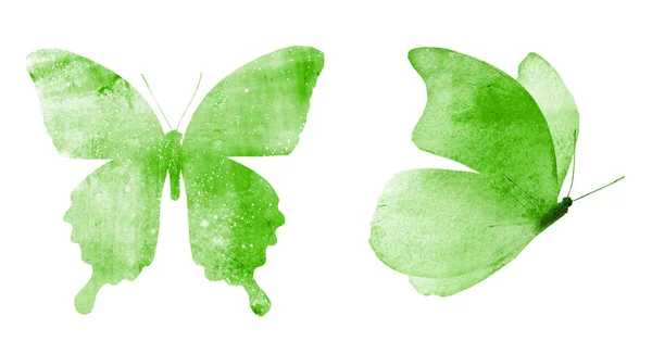 Two Watercolor Butterflies Isolated White Background — Stock Photo, Image