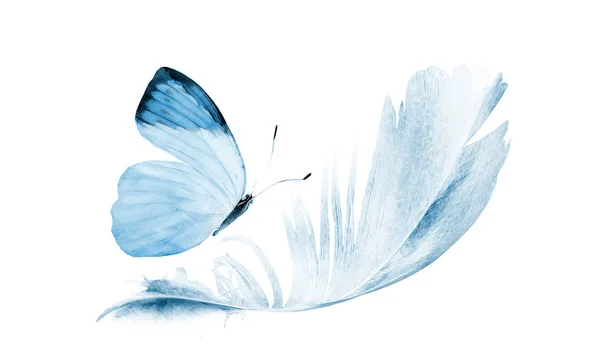 Акварельні Пір Метеликом Ізольовані Білому Тлі — стокове фото