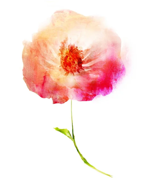 Aquarell Blume Isoliert Auf Weißem Hintergrund — Stockfoto